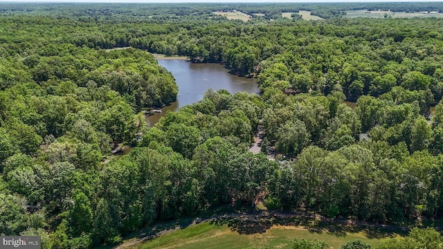 1315 Eastover Pkwy, Locust Grove, VA 22508 - aerial view of property and surrounding area featuring a forest and a nearby body of water