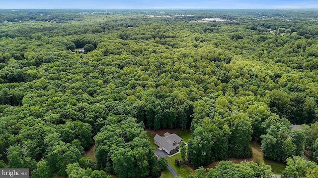 7308 Glenhaven Dr, Fredericksburg, VA 22407 - bird's eye view of a forest