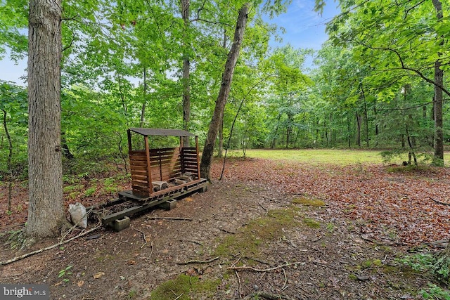 7308 Glenhaven Dr, Fredericksburg, VA 22407 - view of yard with a wooded view