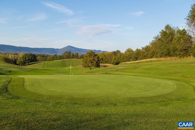 None, Luray, VA 22835