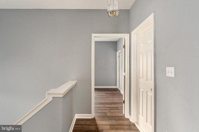 11106 Polaris Ct, Fredericksburg, VA 22407 - hall with wood finished floors and baseboards