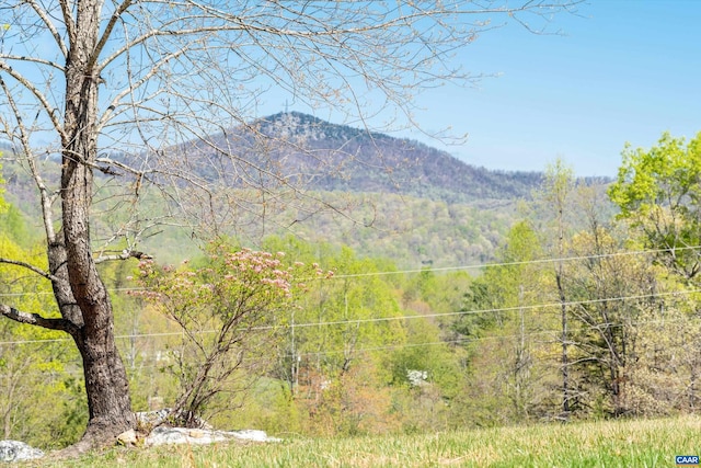 817 Brownings Cv, Shipman, VA 22971 - mountain view with a heavily wooded area