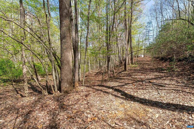 817 Brownings Cv, Shipman, VA 22971 - view of wooded area
