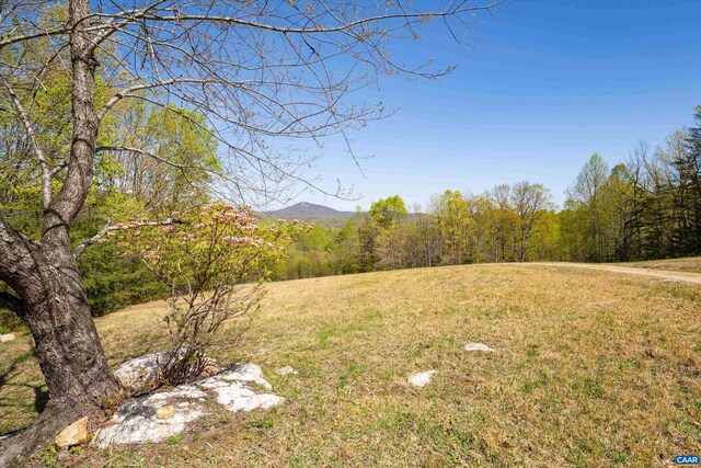 817 Brownings Cv, Shipman, VA 22971 - view of grassy yard featuring a wooded view