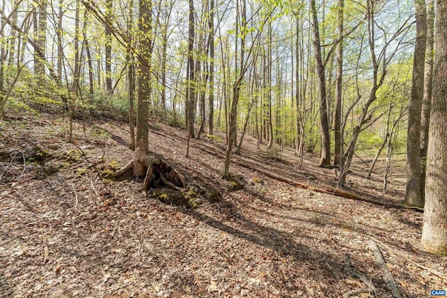 817 Brownings Cv, Shipman, VA 22971 - view of wooded area