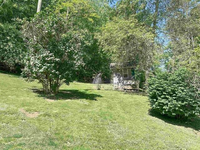 83 Pheasanty Hollow Rd, Williamsville, VA 24487 - photo 5