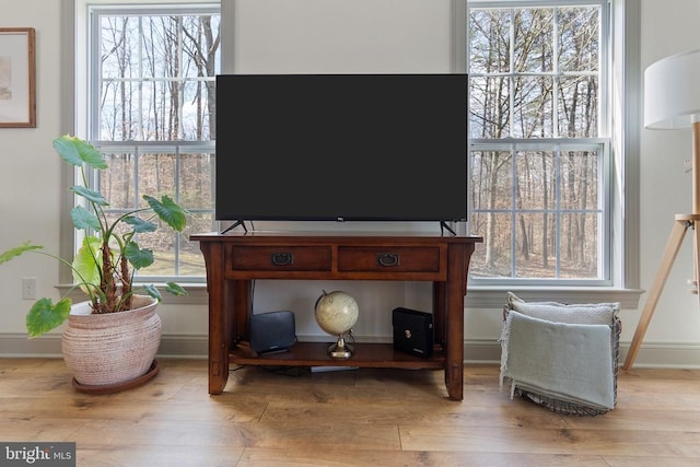 room details with baseboards and wood finished floors