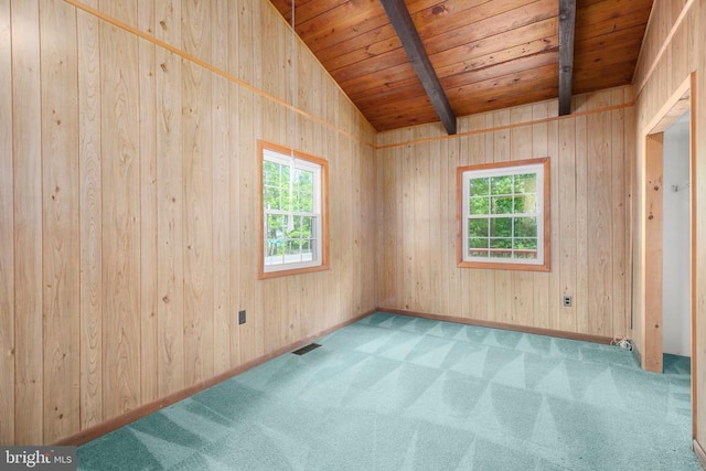 100 Musket Ln, Locust Grove, VA 22508 - carpeted spare room with plenty of natural light and wooden ceiling