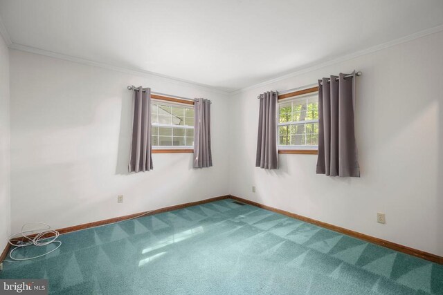 100 Musket Ln, Locust Grove, VA 22508 - unfurnished room with carpet flooring, baseboards, and ornamental molding