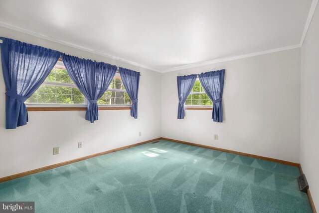100 Musket Ln, Locust Grove, VA 22508 - empty room with carpet flooring, baseboards, and ornamental molding
