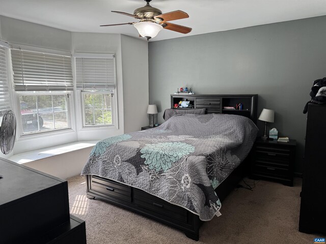 39 Overlook Cir, Palmyra, VA 22963 - bedroom with carpet floors and ceiling fan
