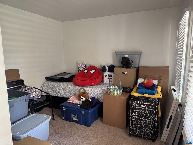 39 Overlook Cir, Palmyra, VA 22963 - view of carpeted bedroom