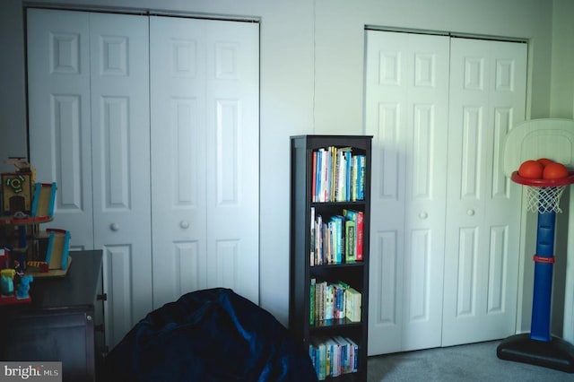 bedroom featuring carpet flooring and multiple closets