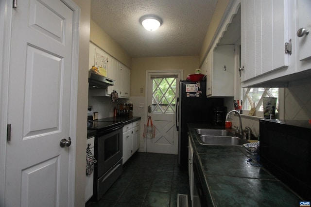 1 Stonewall Rd, Palmyra, VA 22963 - kitchen featuring under cabinet range hood, electric stove, a sink, white cabinets, and a textured ceiling