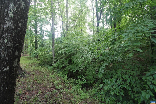 1 Stonewall Rd, Palmyra, VA 22963 - view of woods