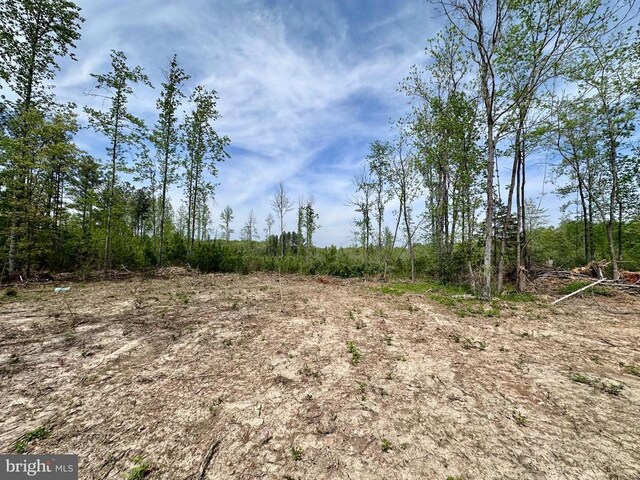 27055 Eleys Ford Rd, Richardsville, VA 22736 - photo 4