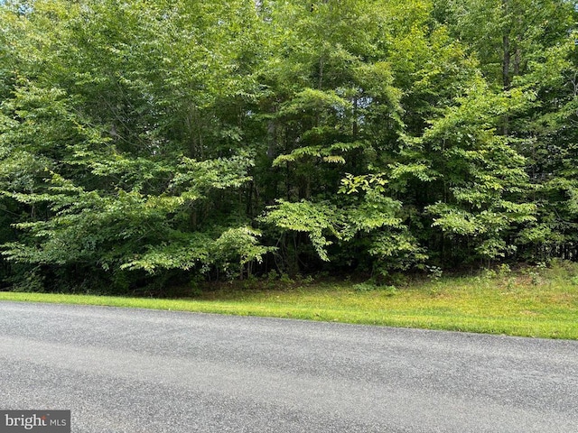 Erin Ln, Mineral, VA 23117