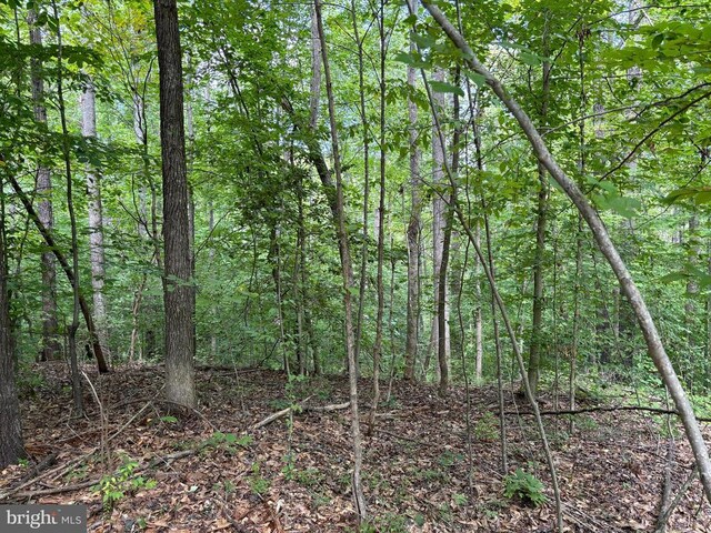 Erin Ln, Mineral, VA 23117