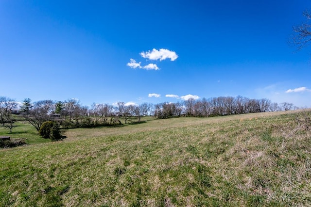 LotA Church Street, Timberville, VA 22853 - photo 5