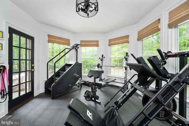 13904 Hunting Run Dr, Fredericksburg, VA 22407 - workout room with healthy amount of natural light, carpet floors, and baseboards