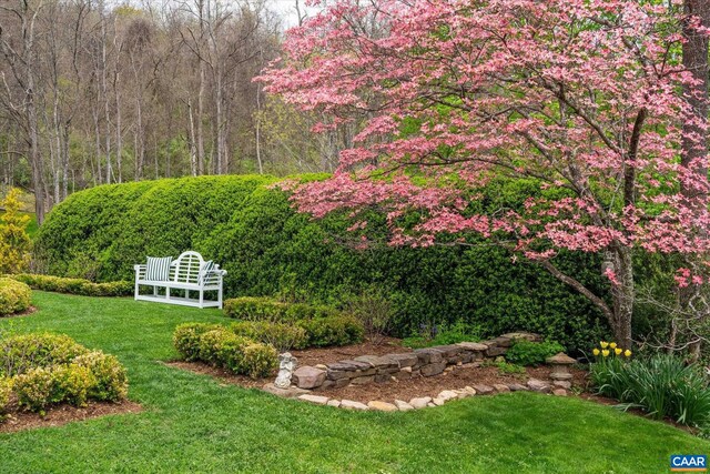 356 Routier Hill Rd, Hot Springs, VA 24445 - view of green lawn featuring a forest view