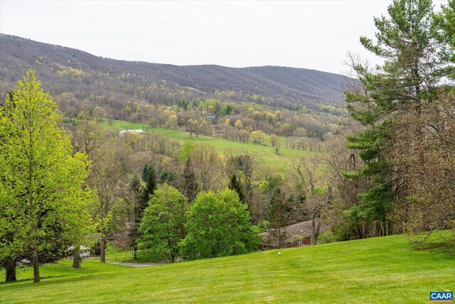 356 Routier Hill Rd, Hot Springs, VA 24445 - mountain view featuring a heavily wooded area