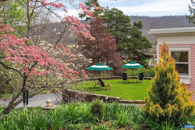 356 Routier Hill Rd, Hot Springs, VA 24445 - view of grassy yard
