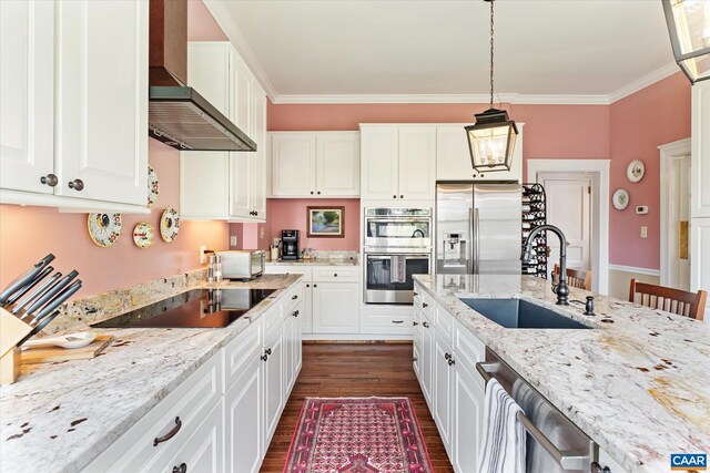 356 Routier Hill Rd, Hot Springs, VA 24445 - kitchen featuring a sink, stainless steel appliances, wall chimney exhaust hood, dark wood finished floors, and white cabinetry
