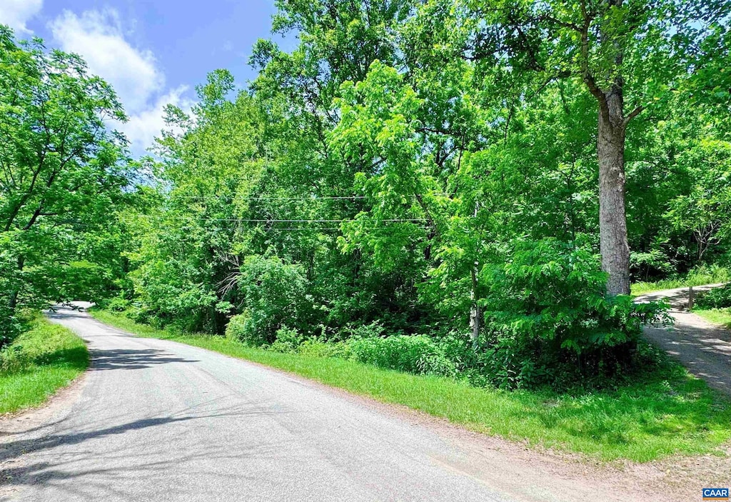 Pounding Branch Rd, Afton, VA 22920 - photo 1