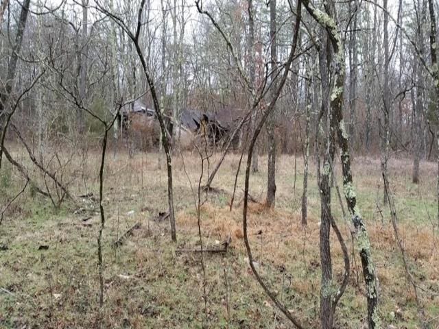 TBD Mill Creek Ln, Stuarts Draft, VA 24477