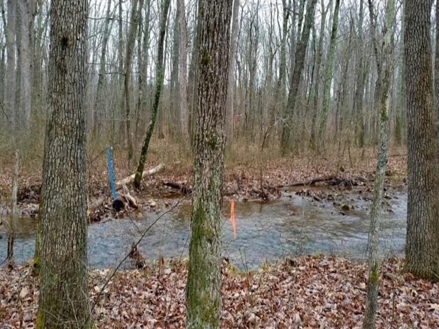 TBD Mill Creek Ln, Stuarts Draft, VA 24477