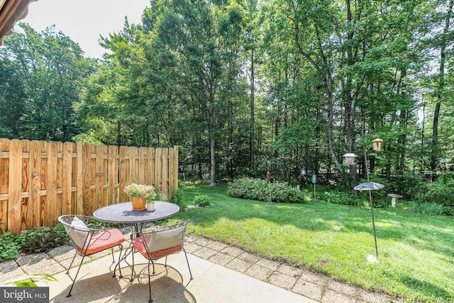 9204 Saint Andrews Ln, Fredericksburg, VA 22408 - view of patio / terrace