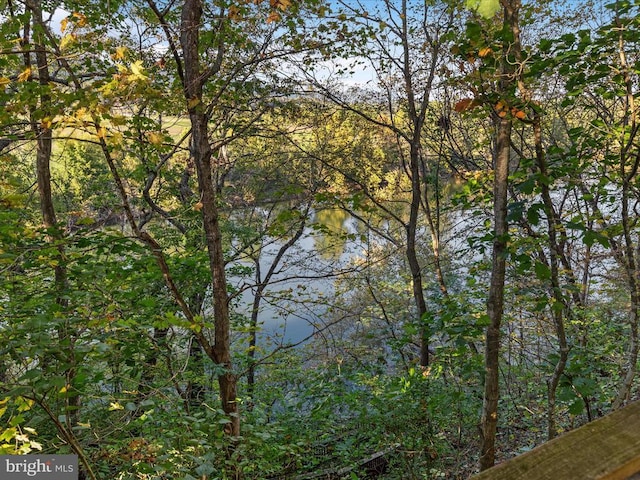 772 Kauffmans Mill Rd, Luray, VA 22835 - water view with a heavily wooded area