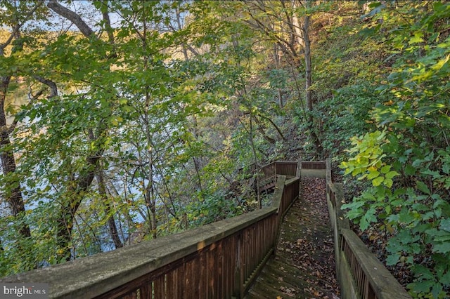 772 Kauffmans Mill Rd, Luray, VA 22835 - exterior view of a garden and a forest view