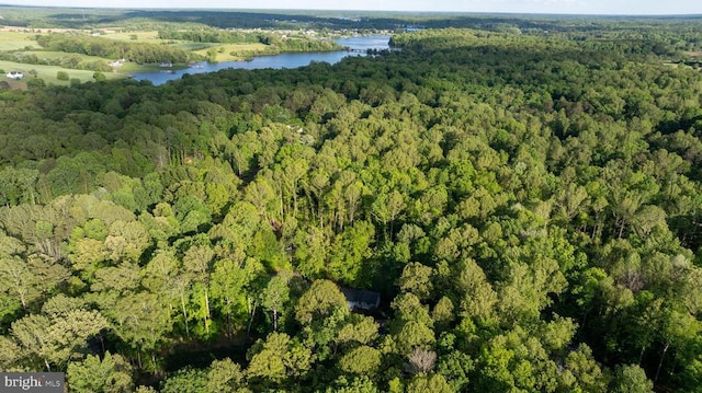 7312 Sugar Hollow Rd, Orange, VA 22960 - aerial view of property and surrounding area featuring a forest and a nearby body of water