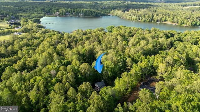 7312 Sugar Hollow Rd, Orange, VA 22960 - aerial view of property's location with a forest and a nearby body of water