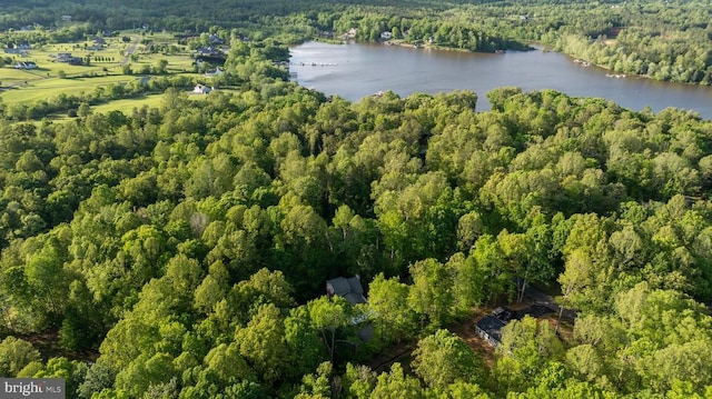 7312 Sugar Hollow Rd, Orange, VA 22960 - aerial view of property's location featuring a heavily wooded area and a large body of water