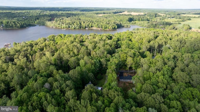 7312 Sugar Hollow Rd, Orange, VA 22960 - aerial view of property and surrounding area with a forest and a large body of water