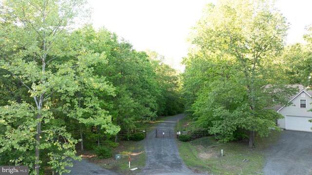 7312 Sugar Hollow Rd, Orange, VA 22960 - view of road