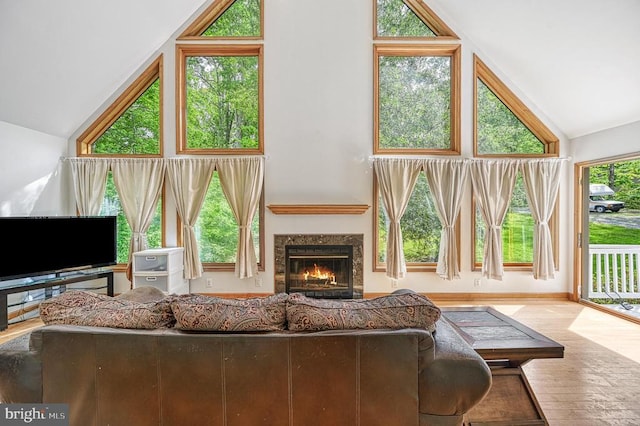 7312 Sugar Hollow Rd, Orange, VA 22960 - living area featuring high vaulted ceiling, a premium fireplace, wood finished floors, and baseboards