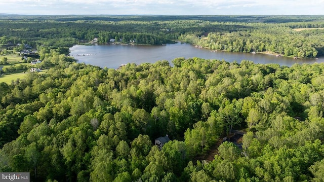 7312 Sugar Hollow Rd, Orange, VA 22960 - aerial view of property's location featuring a forest and a nearby body of water