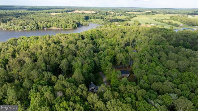 7312 Sugar Hollow Rd, Orange, VA 22960 - view of property location with a forest and a nearby body of water
