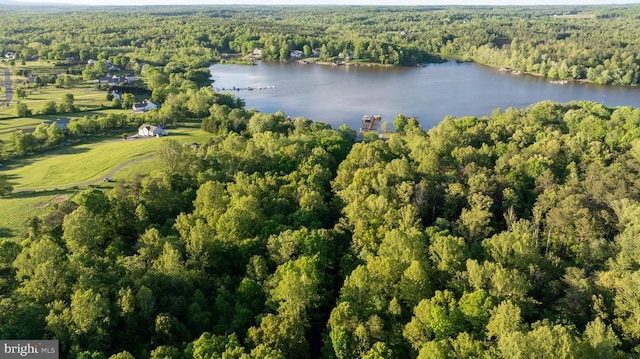 7312 Sugar Hollow Rd, Orange, VA 22960 - aerial view of property's location with a heavily wooded area and a nearby body of water
