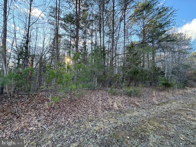 Acorn Dr, Mineral, VA 23117