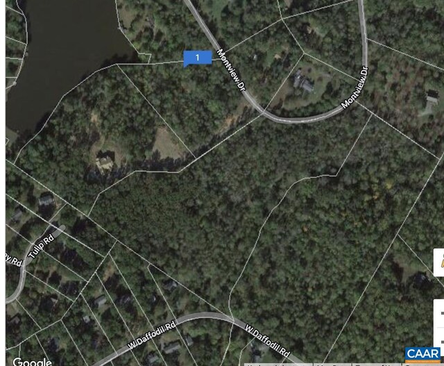 LOTBANDC Montview Dr, Ruckersville, VA 22968 - photo 2