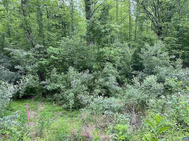 LOTBANDC Montview Dr, Ruckersville, VA 22968 - photo 6