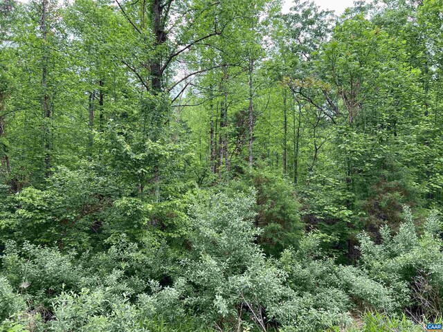 LOTBANDC Montview Dr, Ruckersville, VA 22968 - photo 5
