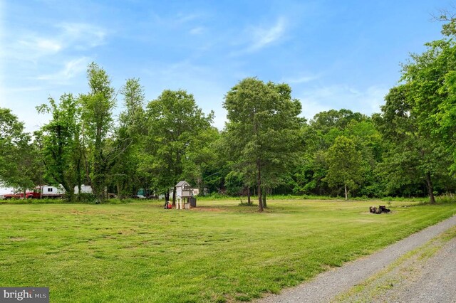  - view of green lawn with a shed