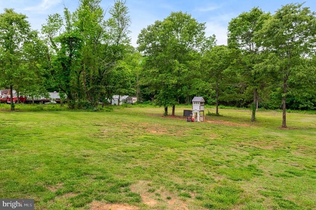  - view of grassy yard