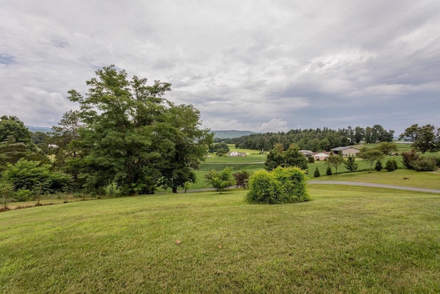 5566 Briery Branch Rd, Dayton, VA 22821 - photo 64